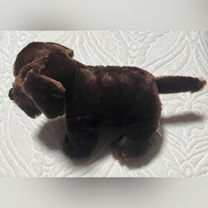 Webkinz - Chocolate Lab